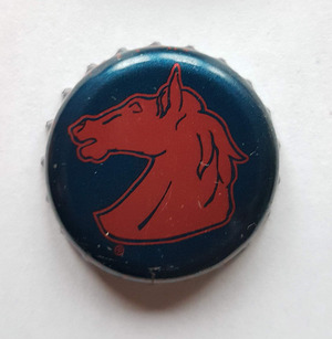 Kentucky IPA, Station Works Brewery